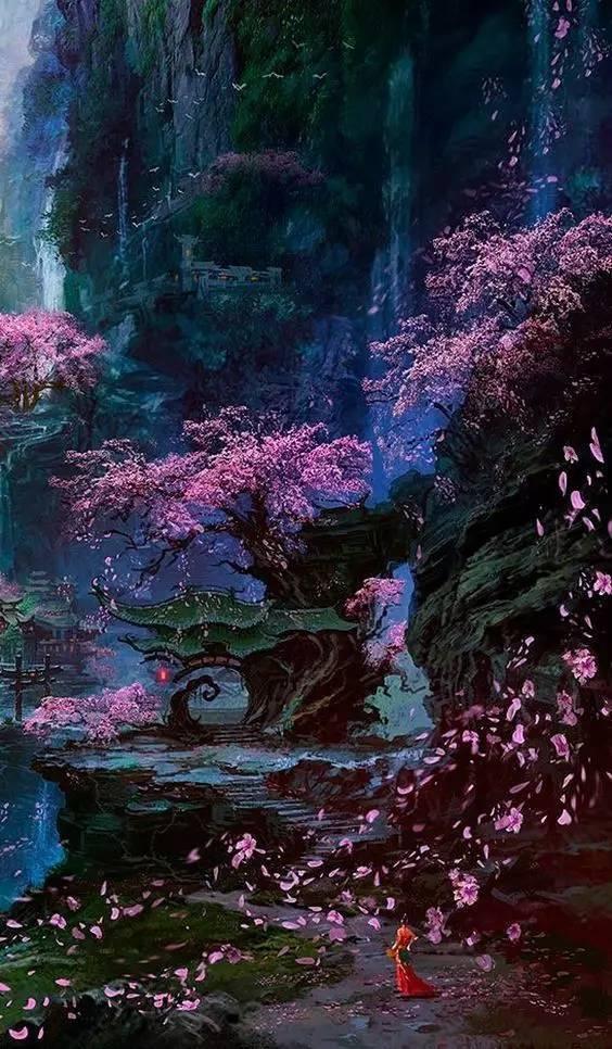 白孔雀救援